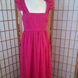 Express Pink Ruffled  Dress